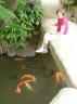 Dsc04844.jpg