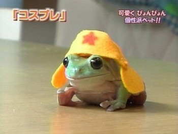 Sgt Frog