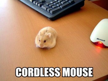 cordless-mouse