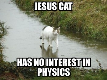 jesus-cat-lolcats-has-no-interest-in-physics