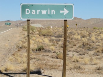 Darwin Sign.smallJPG